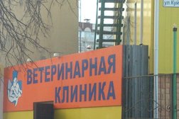 Ветеринарная клиника на улице Куйбышева, с рейтингом 3 - находится по адресу Курган, Куйбышева, 145 