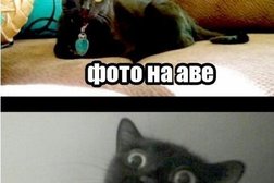 Магазин косметики и бытовой химии М.Косметик, с рейтингом 4.3 - находится по адресу Республика Татарстан, Казань, Татарстан улица, 13 
