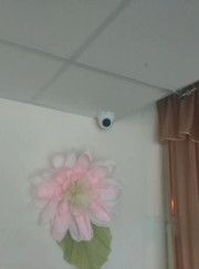 Мастер по настройке и ремонту компьютеров, администратор Денис Владимирович Стремилов