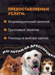 Дрессировщик Игорь Александрович Корчуганов