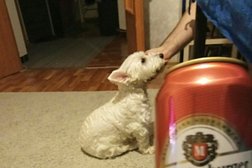 Магазин Красное&Белое, с рейтингом 4.6 - находится по адресу Московская область, Химки, Центральная улица, 8 