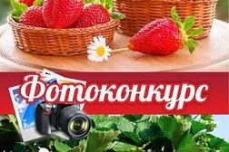Садовый центр Виктория, с рейтингом 4.8 - находится по адресу Магнитогорск, Комсомольская улица, 77 