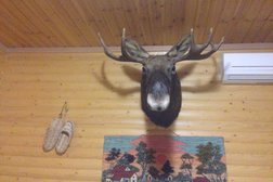 Гостиничный комплекс Охотничий рай, с рейтингом 3 - находится по адресу Тула, Короленко, 22 