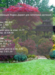 Бизнес-консультант Анна Л.