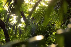 Ветдоктор45, с рейтингом 3.6 - находится по адресу Курган, улица Радионова, 62 