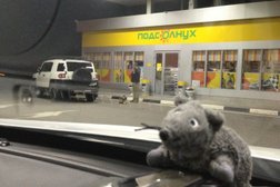 Автозаправка Роснефть, с рейтингом 2 - находится по адресу Ставропольский край, Буденновск, улица Прикумская, 2а 