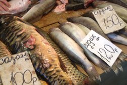 Ткачевский рынок, с рейтингом 3.3 - находится по адресу Волгоград, улица Ткачёва, 14а 