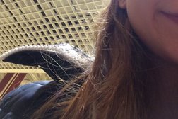 Гипермаркет Ашан, с рейтингом 2.8 - находится по адресу Удмуртская Республика, Ижевск, улица Ленина, 136 