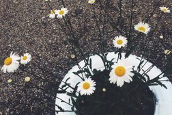 Парк культуры и отдыха им. С. Лазо, с рейтингом 5 - находится по адресу Владивосток, 10-я улица, 44 