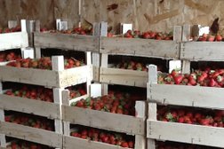 Автосервис ВертоДром, с рейтингом 4 - находится по адресу Сочи, Пластунская улица, 153Б 