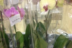 Гипермаркет Магнит Семейный, с рейтингом 2.9 - находится по адресу Самарская область, Чапаевск, улица Куйбышева, 25 