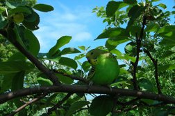 Зоомагазин Аквариум, с рейтингом 4.3 - находится по адресу Республика Мордовия, Саранск, улица Титова, 10 к2 