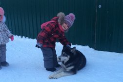 Аквилон, с рейтингом 5 - находится по адресу Челябинская область, пос. Южно-Челябинский Прииск, Солнечная улица, 1Б 