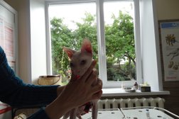 Медведевская районная станция по борьбе с болезнями животных