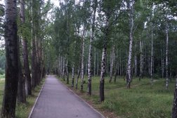 Парк Светлоярский, с рейтингом 3.1 - находится по адресу Нижний Новгород, Светлоярская улица, 44 