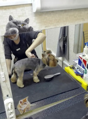 Грумер Мария Валерьевна Фиберг