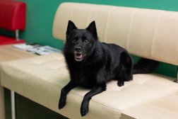 Ветеринарная клиника ВетКудрово, с рейтингом 3 - находится по адресу Ленинградская область, Кудрово, Центральная улица, 54 к2 