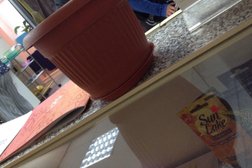 Камелия