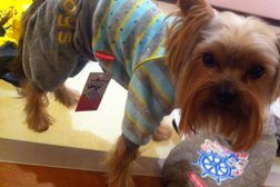 Зоосалон Puffy-Shop, с рейтингом 2.3 - находится по адресу Москва, 1-я Владимирская улица, 14 