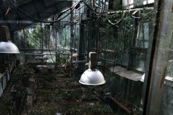 Сибирский ботанический сад, с рейтингом 3.5 - находится по адресу Томск, проспект Ленина, 34/1 