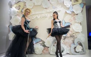 фотография работы артиста Светланы Бойко Волшебная скрипки