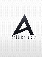 Дизайнер, мастер по настройке и ремонту компьютеров Артём Сахацкий