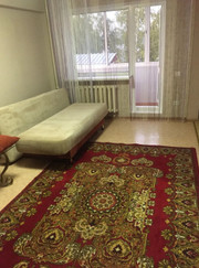 Водитель, домработница Юлия Павловна Шакутова