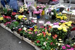 Торговый центр Кольцо, с рейтингом 2.8 - находится по адресу Удмуртская Республика, Ижевск, улица Дзержинского, 48а 