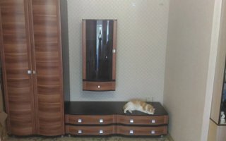 фотография работы специалиста Александра Николаевича Смирнова
