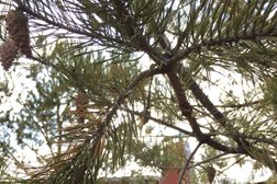 Супермаркет Фасоль, с рейтингом 4.8 - находится по адресу Республика Башкортостан, с. Акбердино, Сосновая улица, 2 