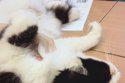 Библиотека им. Ф. М. Достоевского, с рейтингом 4.2 - находится по адресу Омск, улица Петра Осминина, 1 