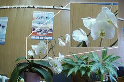 Центр систем комплексной безопасности Цезарь, с рейтингом 2 - находится по адресу Нижний Новгород, улица Литвинова, 74 к31 