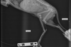 Ветеринарная клиника Зоодоктор, с рейтингом 2.5 - находится по адресу Екатеринбург, проезд Решетникова, 22 