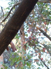 Бетонщик, грузчик Вячеслав Шишкин