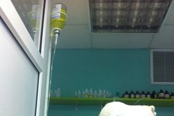 Ветеринарная клиника Друг, с рейтингом 2.7 - находится по адресу Пермь, Екатерининская, 216 