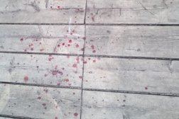 Всесезонный СПА-курорт Аврора-Клуб, с рейтингом 4.2 - находится по адресу Ленинградская область, Выборгский район, Полянское сельское поселение, территория Полянская 