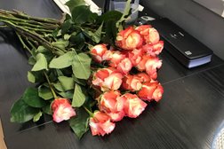Аскон консультант плюс, с рейтингом 4.6 - находится по адресу Санкт-Петербург, улица Циолковского, 9 к2 лит А 