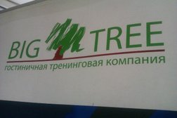 Компания контроля сервиса и повышения продаж Big Tree, с рейтингом 5 - находится по адресу Москва, улица Покровка, 9 ст1 