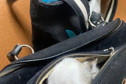 Ветеринарная клиника Ветера, с рейтингом 2.3 - находится по адресу Тульская область, Новомосковск, Гражданская улица, 2 