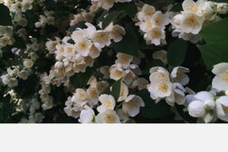 Торговый дом Садко, с рейтингом 4 - находится по адресу Республика Карелия, Кондопога, проспект Калинина, 4 