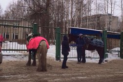 Детский сад №19, с рейтингом 4.3 - находится по адресу Ярославль, проезд Матросова, 7а 