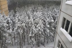 Авторизованный сервисный центр Северный мост, с рейтингом 4.3 - находится по адресу Воронеж, улица Владимира Невского, 19 