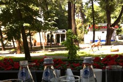 Кофемания, с рейтингом 3.8 - находится по адресу Алматы, проспект Абылай хана, 115 