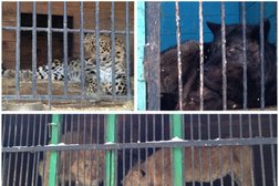 Торговый центр Кировский, с рейтингом 3 - находится по адресу Курган, проспект Машиностроителей, 2в 