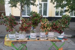 Драматический театр, с рейтингом 4 - находится по адресу Тамбовская область, Мичуринск, Гоголевская улица, 55 