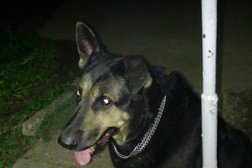 Супермаркет Высшая лига, с рейтингом 5 - находится по адресу Иваново, Велижская улица, 70 