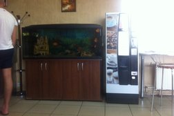 Автокомплекс Парус, с рейтингом 1.3 - находится по адресу Тула, Ложевая, 138Б/1 
