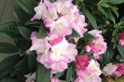 Группа компаний Семейный сад, с рейтингом 4 - находится по адресу Московская область, Щёлково, Заводская улица, 15 