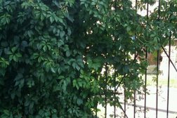 Детский сад №225, с рейтингом 3.3 - находится по адресу Республика Башкортостан, Уфа, улица Рихарда Зорге, 14/1 