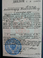 Мастер по ремонту бытовой техники, бетонщик Александр П.